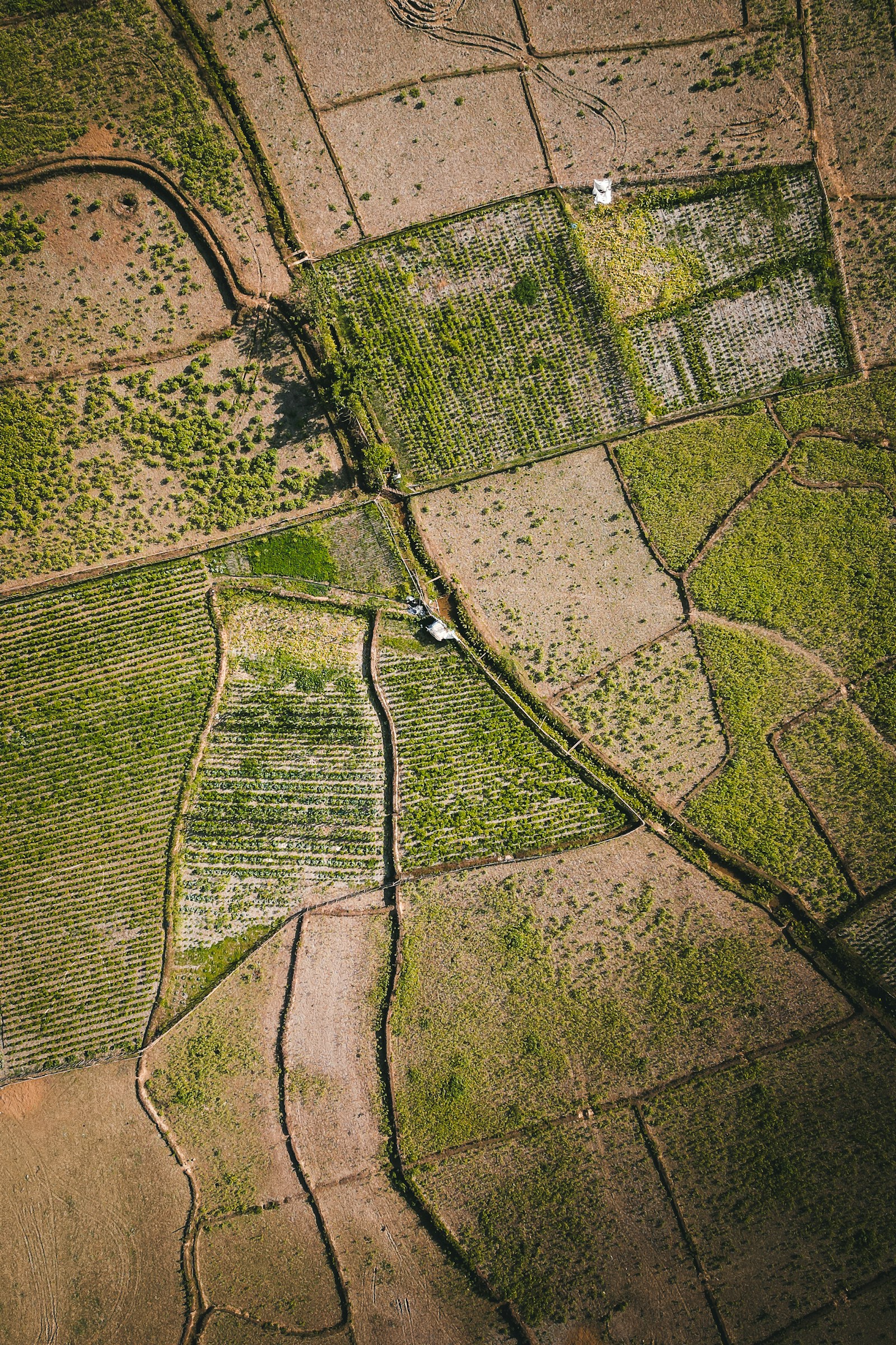 Aerial drone map of farm field boundaries showing full acreage in one frame